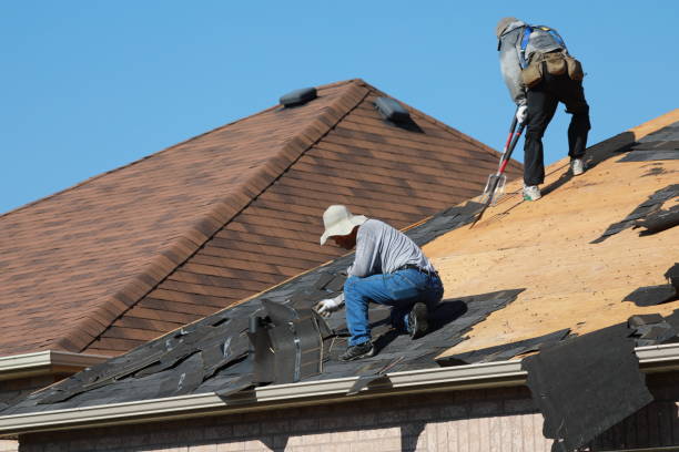 Best Asphalt Shingle Roofing  in Ashford, AL